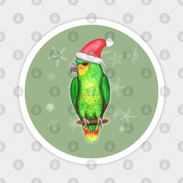 Christmas amazon parrot Magnet by Bwiselizzy